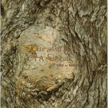You or Sidney by Rise and Fall of a Decade - album cover