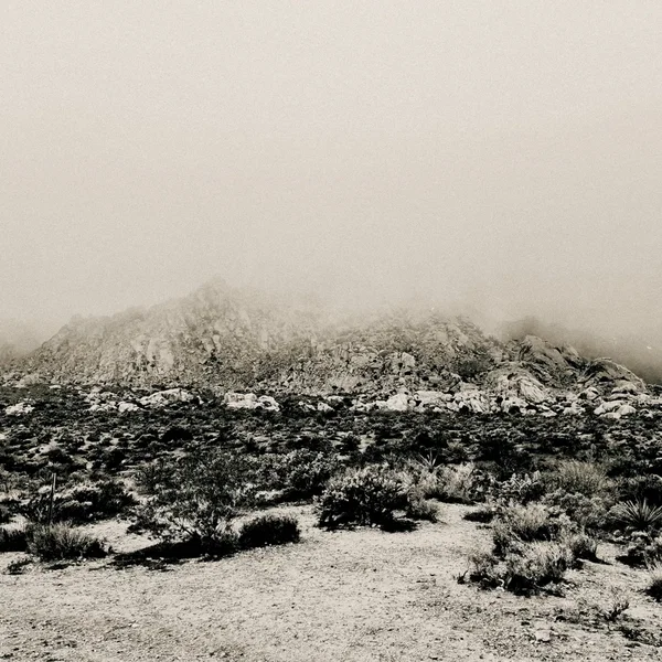 Mnemonic: Ambient Mosaic