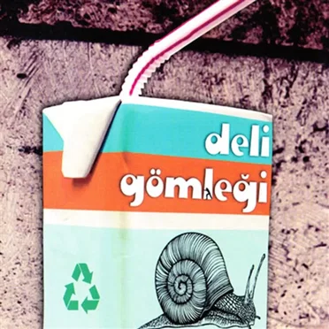 Deli Gömleği by Deli Gömleği - album cover