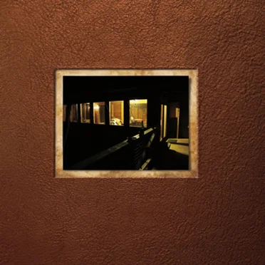 Cabin Music by Brundlefly & the Swede - album cover