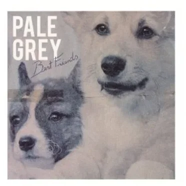 Best Friends by Pale Grey - album cover
