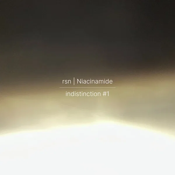 indistinction #1