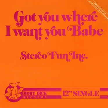Got You Where I Want You Babe by Stereo Fun Inc. - album cover
