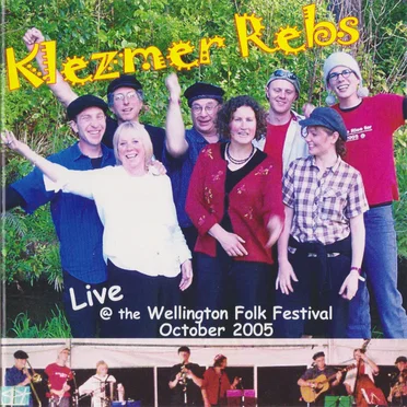 Live at the Wellington Folk Festival