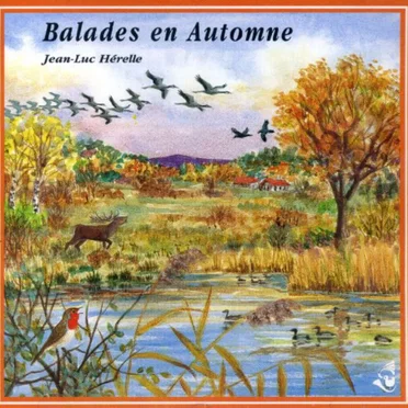 Balades en automne / Autumnal Walks