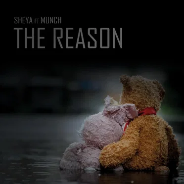 The Reason