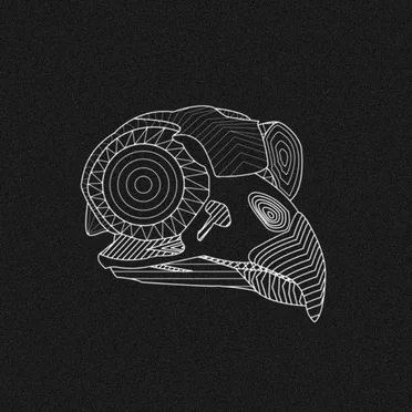 Birds of Night by Birds of Night - album cover