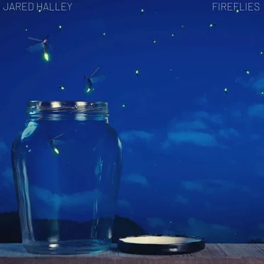 Fireflies