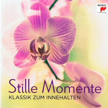 Stille Momente, Klassik zum Innehalten by Various Artists - album cover