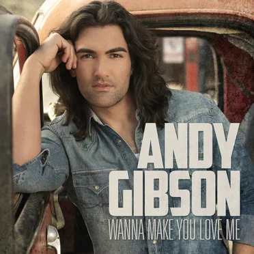Wanna Make You Love Me by Andy Gibson - album cover