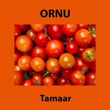 Tamaar