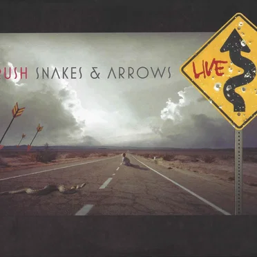 Snakes & Arrows Live