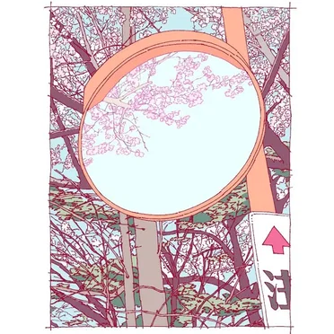 花あらし