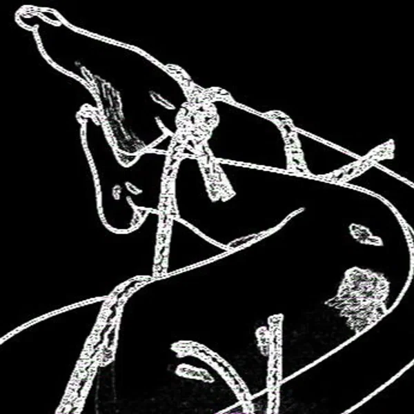 𝘵𝘪𝘦𝘥 𝘶𝘱, 𝘵𝘰𝘳𝘯 𝘢𝘱𝘢𝘳𝘵, 𝘧𝘦𝘥 𝘵𝘰 𝘵𝘩𝘦 𝘥𝘰𝘨𝘴