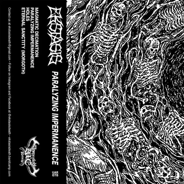 Paralyzing Impermanence by Ekstasis - album cover