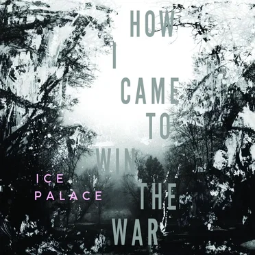 How I Came to Win the War