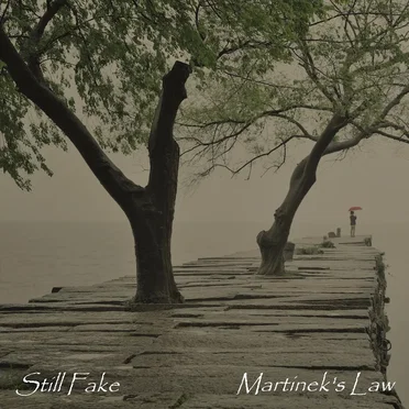 Still Fake by Martinek's Law - album cover