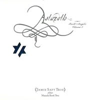 Jamie Saft Trio artist image