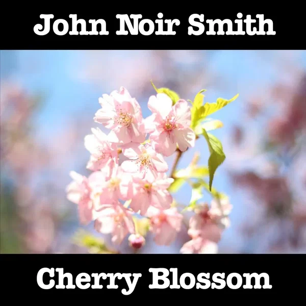 Cherry Blossom