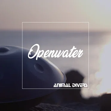 Openwater
