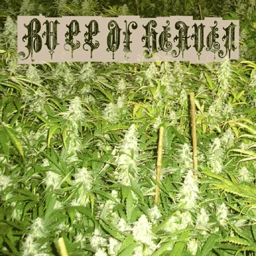001: Weed Problem by Bull of Heaven - album cover