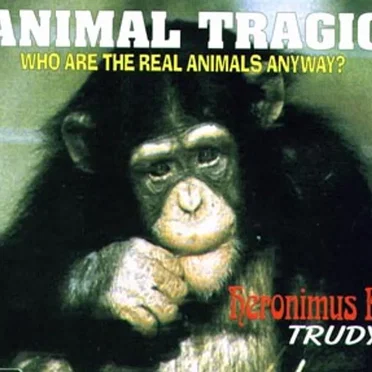 Animal Tragic (Who are the Real Animals Anyway0
