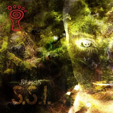 S.S.I. by Nargun - album cover