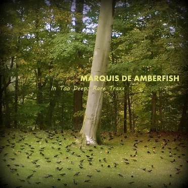 In Too Deep: Rare Traxx by Marquis de Amberfish - album cover