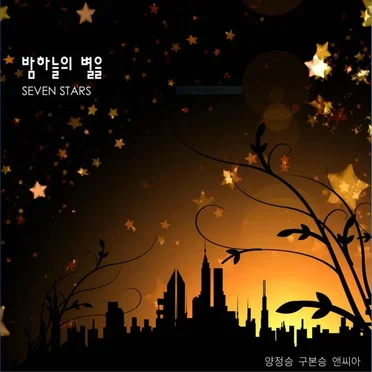 밤하늘의 별을 7