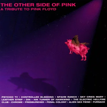 The Other Side of Pink: A Tribute to Pink Floyd by Various Artists - album cover