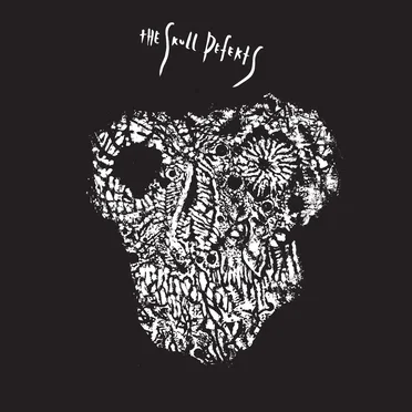 The Skull Defekts by The Skull Defekts - album cover