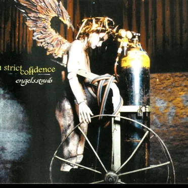 Engelsstaub by In Strict Confidence - album cover