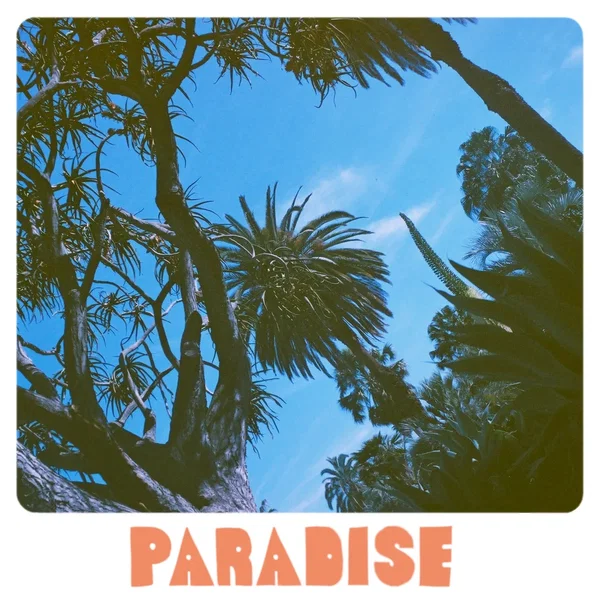 Paradise