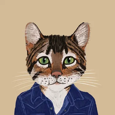 C'mon Armageddon by Fantastic Cat - album cover