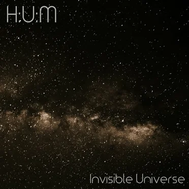 Invisible Universe