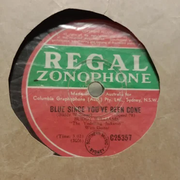 Blue Since You’ve Been Gone / Somebody’s Stole My Money