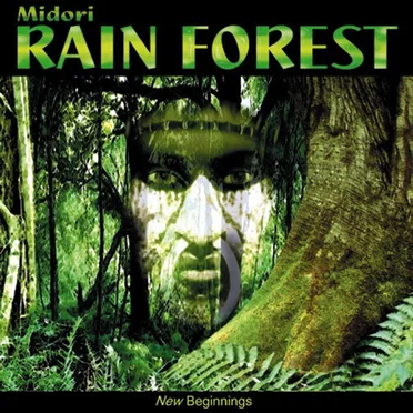 Rain Forest by Midori - album cover