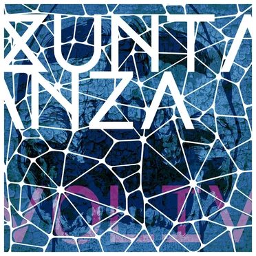 Xuntanza, Vol. IV by Various Artists - album cover