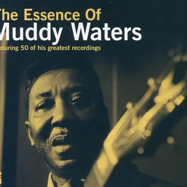 The Essence of Muddy Waters