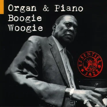 organ and piano boogie woogie by Various Artists - album cover