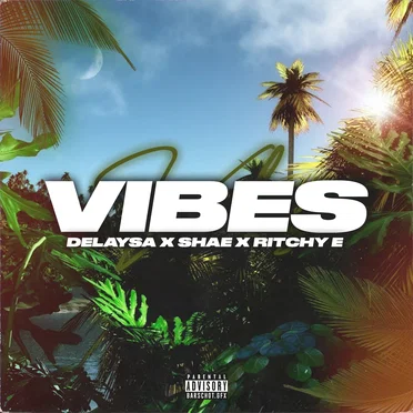 Vibes by Delaysa Nachia - album cover