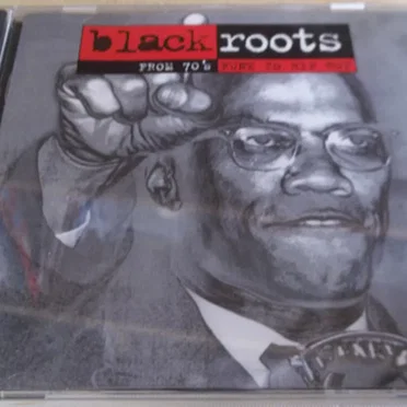 Black Roots: From 70’s Funk to Hip Hop by Various Artists - album cover