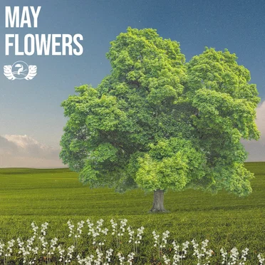 May Flowers by Various Artists - album cover