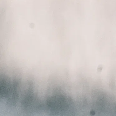 Shibui