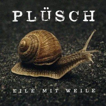 Eile mit Weile by Plüsch - album cover