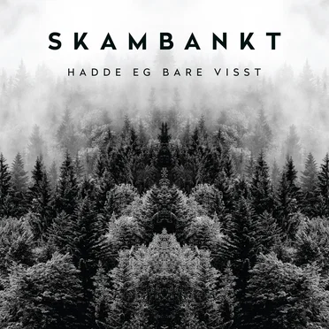 Hadde eg bare visst by Skambankt - album cover