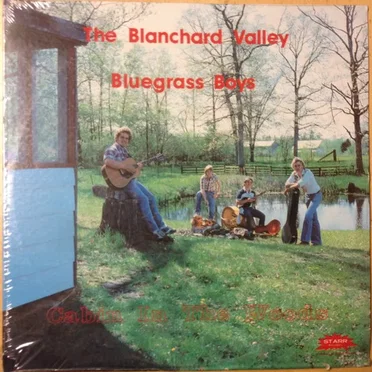 Cabin in the Woods by The Blanchard Valley Bluegrass Boys - album cover