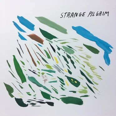 Brighter Horizon by Strange Pilgrim - album cover
