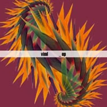 Vim!