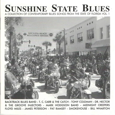 Sunshine State Blues - A Collection of Contemporary Blues Songs From the State of Florida, Vol. 1 by Various Artists - album cover